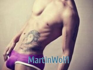Martin_Wolfl