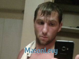 Mason_Levy