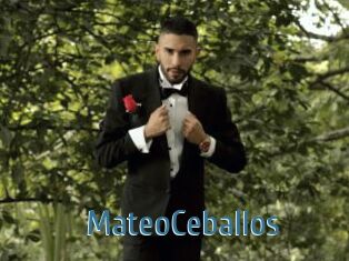MateoCeballos