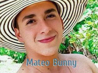 Mateo_Bunny