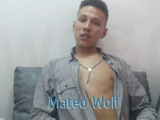 Mateo_Wolf