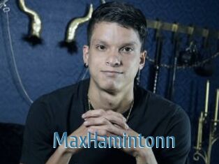 MaxHamintonn
