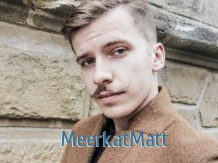 MeerkatMatt