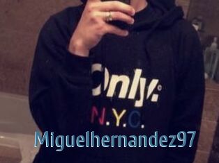 Miguel_hernandez97