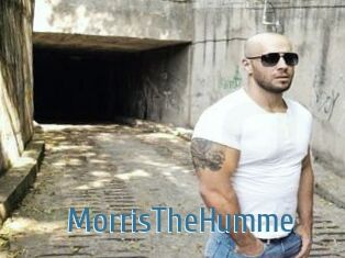 MorrisTheHumme