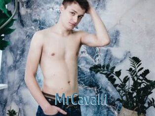 MrCavalli