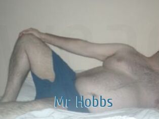 Mr_Hobbs