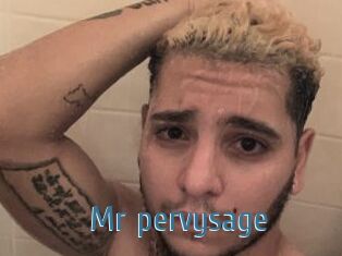 Mr_pervysage