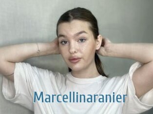 Marcellinaranier