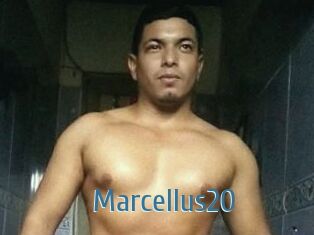 Marcellus20