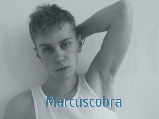 Marcuscobra