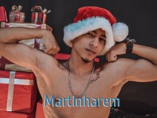 Martinharem