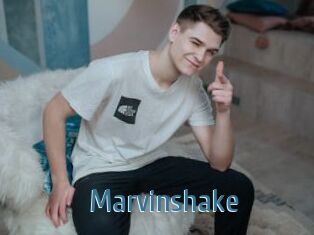 Marvinshake