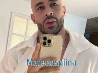 Mateoospiina