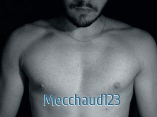 Mecchaud123