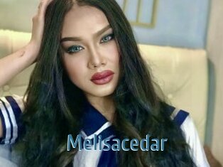 Melisacedar