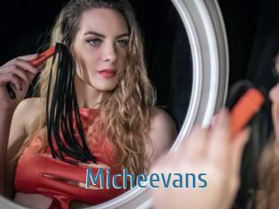 Micheevans