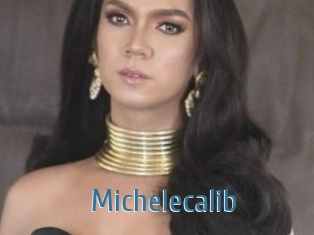 Michelecalib
