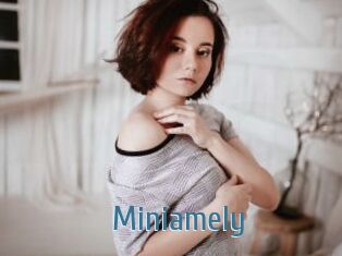 Miniamely