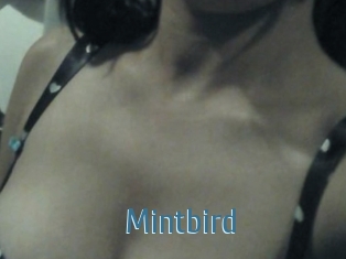 Mintbird