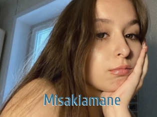 Misakiamane