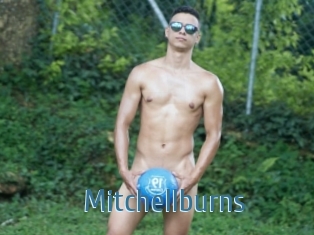 Mitchellburns
