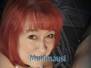 Mollimausi