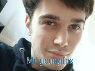 Mr_youngfox