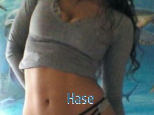 Hase