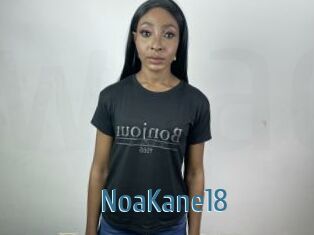 NoaKane18