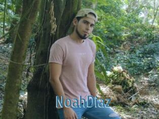 NoahDiaz