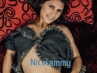 Nicesammy