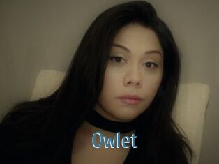 _Owlet_