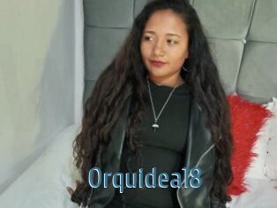 Orquidea18