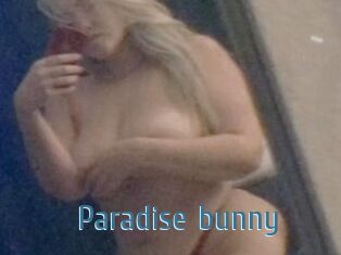 Paradise_bunny