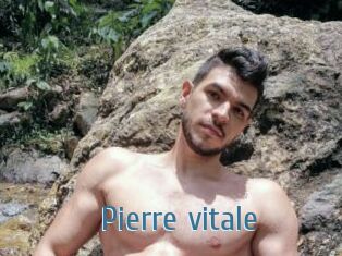 Pierre_vitale