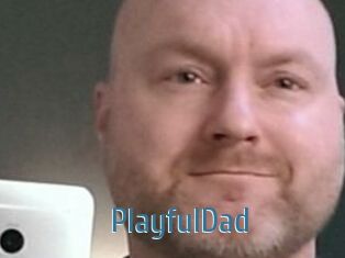 PlayfulDad