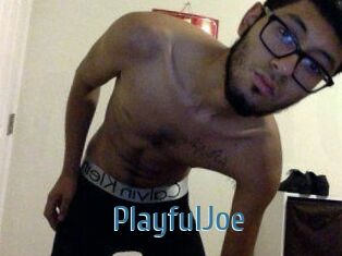PlayfulJoe