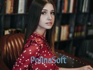 PolinaSoft