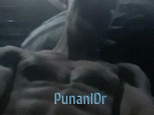 PunaniDr