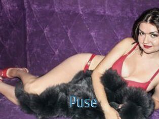 Puse