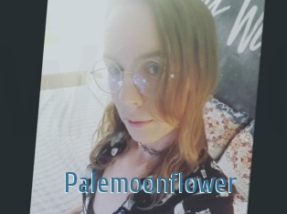 Palemoonflower