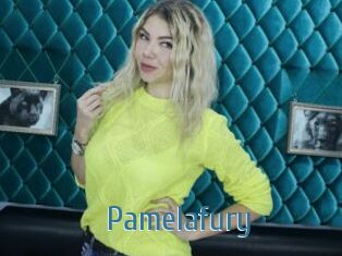 Pamelafury