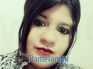 Pamelasuite