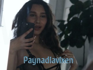 Paynadiavixen