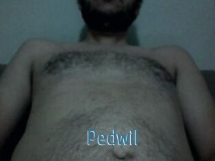 Pedwil