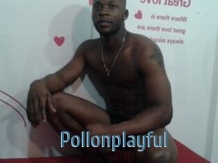 Pollonplayful