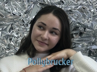 Pollybrucker