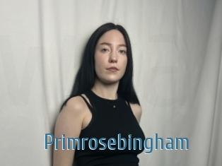 Primrosebingham