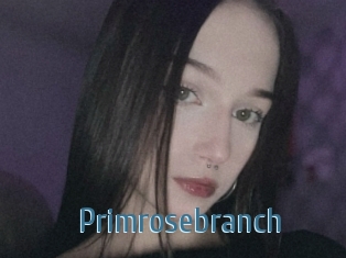 Primrosebranch